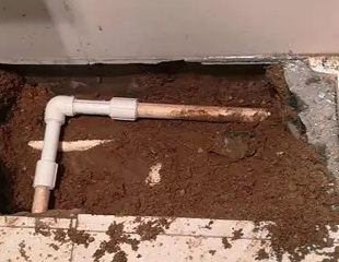 西乡塘测漏水哪家好