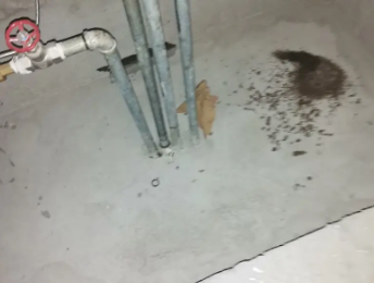 西乡塘卫生间测漏水价格明细