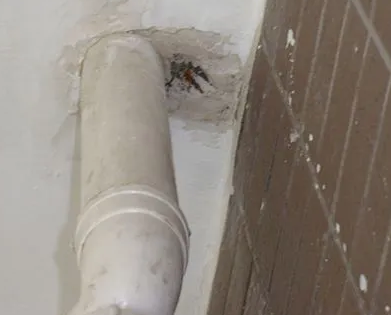 西乡塘漏水检测哪家好